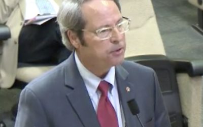Austin LDC — That Rascally Demographer