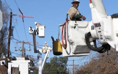 Does One Floor of City Hall Know What the Other Floor is Doing?