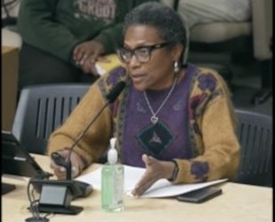 An East Austin Zoning Case – It’s Not About the Garden